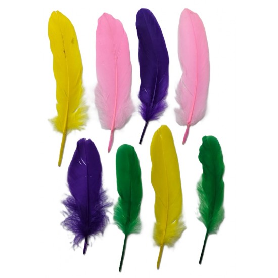 Large colored feathers, 8 pieces per card