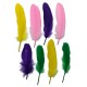 Large colored feathers, 8 pieces per card