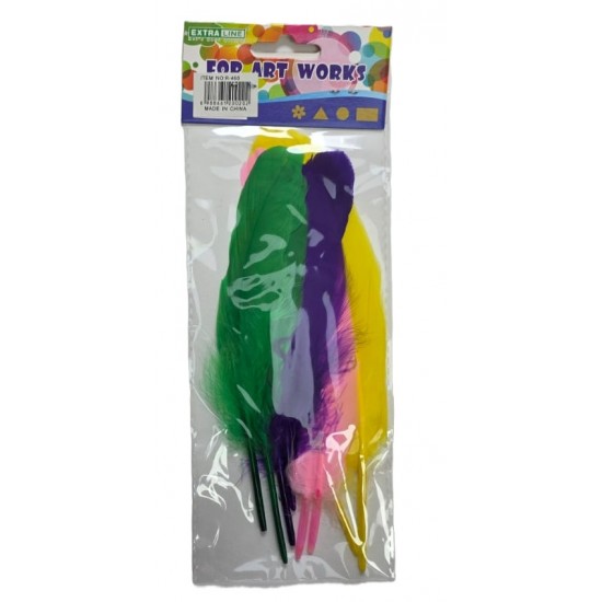 Large colored feathers, 8 pieces per card