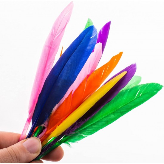 Large colored feathers, 8 pieces per card