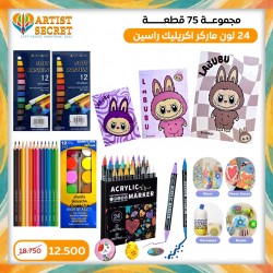 LABUBU Set 75 pieces 24 colors acrylic markers with two tips.