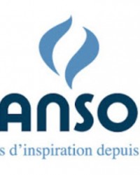 Papers, Pads & Boards Panting