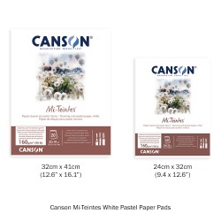 Canson White Mi-Teintes Pastel Paper Pads 20 sheets