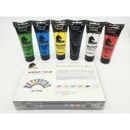 مجموعة 6 ألوان اكريليك 75 ملي